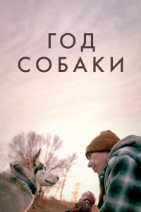 Год собаки (2022)