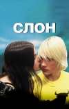Слон