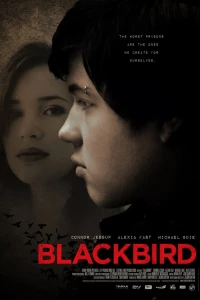 Чёрный дрозд (2012)