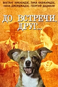 До встречи, друг... (1980)