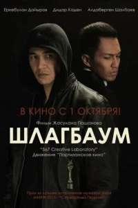 Шлагбаум (2015)