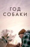 Год собаки