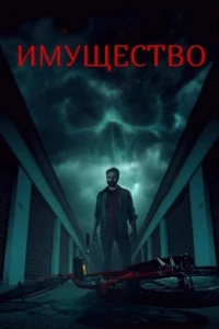 Имущество (2024)