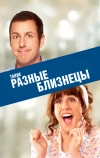 Такие разные близнецы (2011)