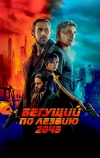 Бегущий по лезвию 2049 (2017)