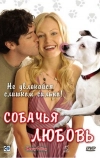 Собачья любовь
