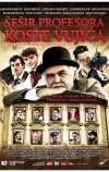 Шляпа профессора Вуйича (2012)