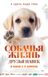 Всем любовь