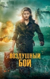 Воздушный бой