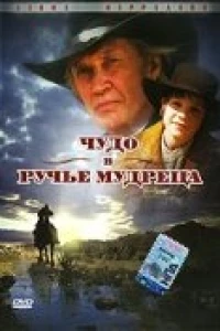 Чудо в Ручье мудреца (2005)