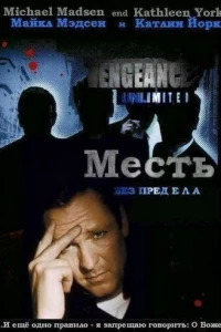 Месть без предела (1998)