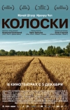 Колоски