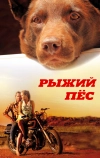 Рыжий пес (2011)