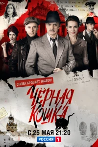 Черная кошка (2016)