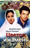 Цветок и камень