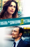 Любовь под домашним арестом