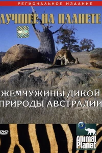 Animal Planet: Жемчужины дикой природы Австралии (2007)