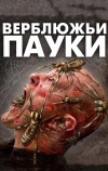 Верблюжьи пауки (2011)