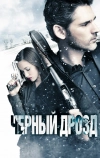 Чёрный дрозд (2011)